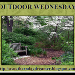 Outdoor Wednesday logo_thumb[2]