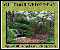 Outdoor Wednesday logo_thumb[2]