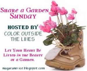 share a garden Sunday